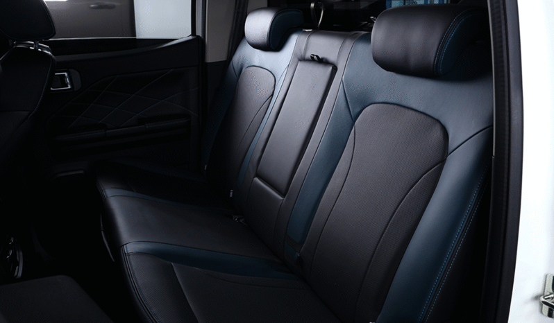 ZX AUTO GRANDLION 2025 lleno