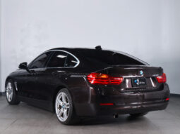 BMW 420i 2016 lleno