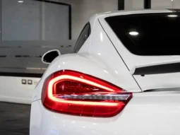 Porsche Cayman S (981) – 2014 lleno