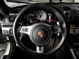 Porsche Cayman S (981) – 2014 lleno