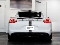 Porsche Cayman S (981) – 2014 lleno