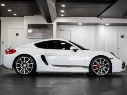 Porsche Cayman S (981) – 2014 lleno
